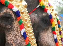 n-TRISSUR-POORAM-2014-large